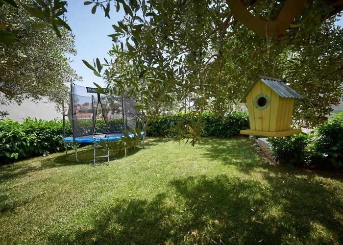 Mare * Seget Vranjica